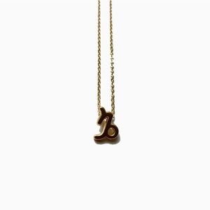 Capricorn zodiac necklace